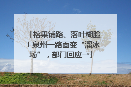 榕果铺路、落叶糊脸！泉州一路面变“溜冰场”，部门回应→