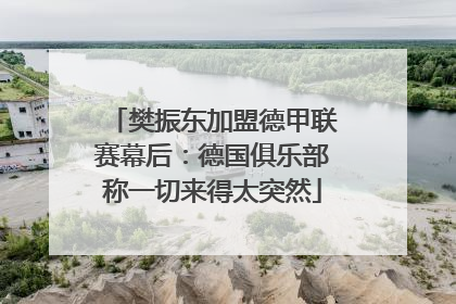 樊振东加盟德甲联赛幕后：德国俱乐部称一切来得太突然