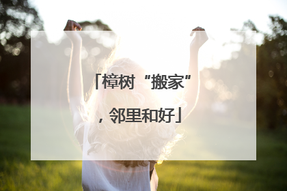 樟树“搬家”，邻里和好