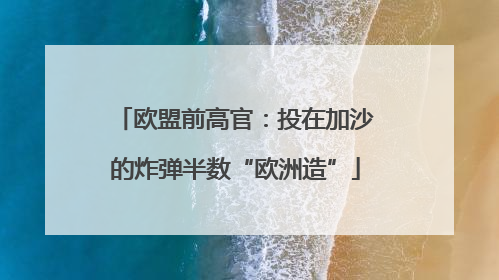 欧盟前高官：投在加沙的炸弹半数“欧洲造”