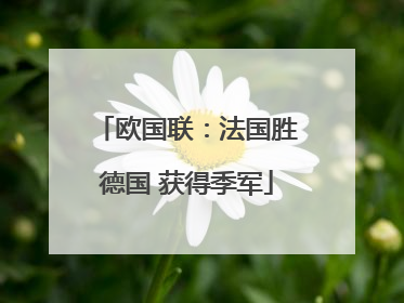 欧国联：法国胜德国 获得季军
