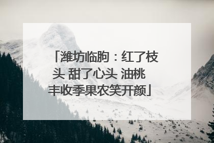 潍坊临朐：红了枝头 甜了心头 油桃丰收季果农笑开颜