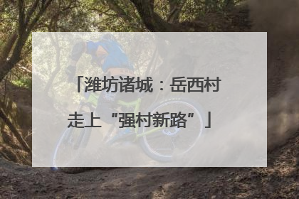 潍坊诸城：岳西村走上“强村新路”