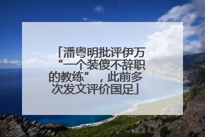 潘粤明批评伊万“一个装傻不辞职的教练”，此前多次发文评价国足