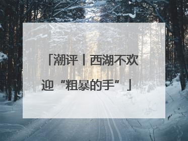 潮评丨西湖不欢迎“粗暴的手”