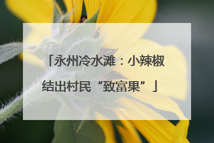 永州冷水滩：小辣椒结出村民“致富果”