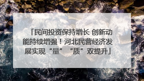民间投资保持增长 创新动能持续增强！河北民营经济发展实现“量”“质”双提升