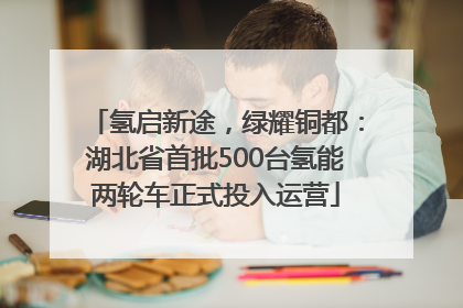 氢启新途，绿耀铜都：湖北省首批500台氢能两轮车正式投入运营