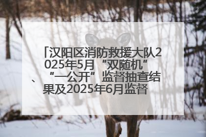 汉阳区消防救援大队2025年5月“双随机”、“一公开”监督抽查结果及2025年6月监督抽查任务公示