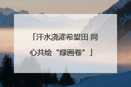 汗水浇灌希望田 同心共绘“绿画卷”