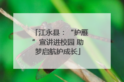 江永县：“护雁”宣讲进校园 助梦启航护成长