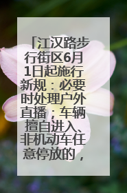 江汉路步行街区6月1日起施行新规：必要时处理户外直播；车辆擅自进入、非机动车任意停放的，依法处理