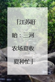 江苏盱眙：三河农场夏收夏种忙