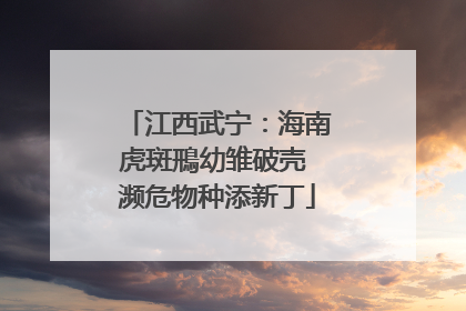 江西武宁：海南虎斑鳽幼雏破壳 濒危物种添新丁