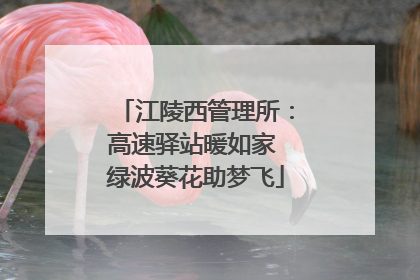 江陵西管理所：高速驿站暖如家 绿波葵花助梦飞
