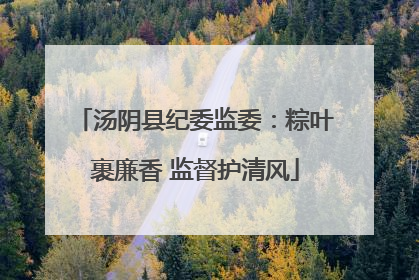 汤阴县纪委监委：粽叶裹廉香 监督护清风