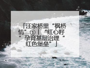 汪家桥里“枫桥情”①丨“红心籽”孕育基层治理“红色堡垒”