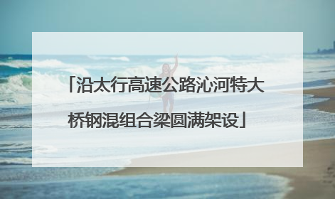 沿太行高速公路沁河特大桥钢混组合梁圆满架设