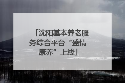 沈阳基本养老服务综合平台“盛情康养”上线