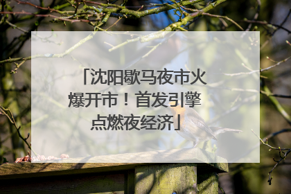 沈阳歇马夜市火爆开市！首发引擎点燃夜经济