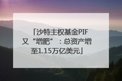 沙特主权基金PIF又“增肥”：总资产增至1.15万亿美元