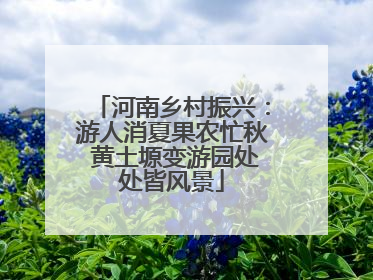 河南乡村振兴：游人消夏果农忙秋 黄土塬变游园处处皆风景
