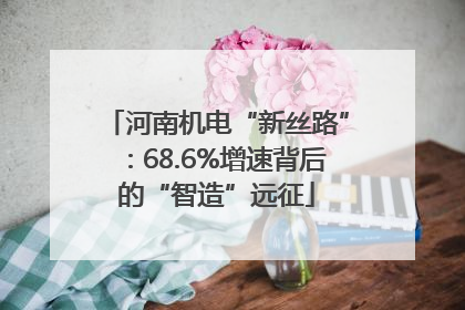 河南机电“新丝路”：68.6%增速背后的“智造”远征