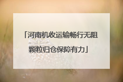 河南机收运输畅行无阻 颗粒归仓保障有力