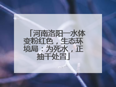 河南洛阳一水体变粉红色，生态环境局：为死水，正抽干处置