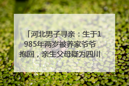 河北男子寻亲：生于1985年两岁被养家爷爷抱回，亲生父母疑为四川仪陇人｜红星寻人