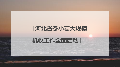 河北省冬小麦大规模机收工作全面启动