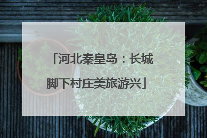 河北秦皇岛：长城脚下村庄美旅游兴