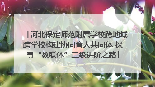 河北保定师范附属学校跨地域跨学校构建协同育人共同体 探寻“教联体”三级进阶之路