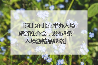 河北在北京举办入境旅游推介会，发布8条入境游精品线路