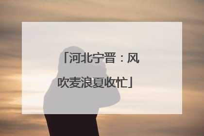 河北宁晋：风吹麦浪夏收忙