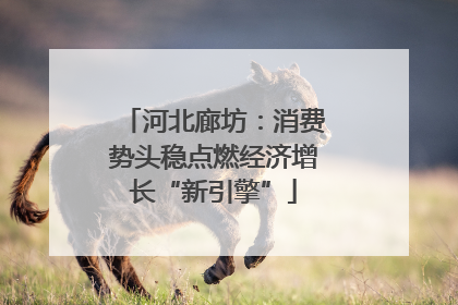 河北廊坊：消费势头稳点燃经济增长“新引擎”