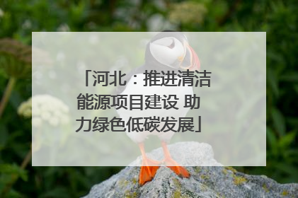 河北：推进清洁能源项目建设 助力绿色低碳发展