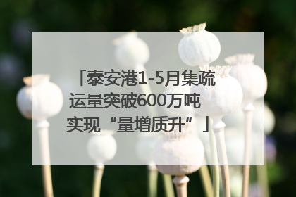 泰安港1-5月集疏运量突破600万吨 实现“量增质升”