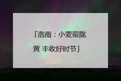 洛南：小麦覆陇黄 丰收好时节