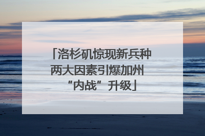 洛杉矶惊现新兵种 两大因素引爆加州“内战”升级
