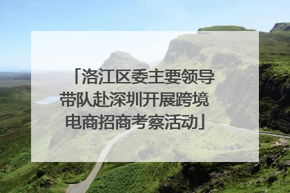 洛江区委主要领导带队赴深圳开展跨境电商招商考察活动