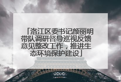 洛江区委书记颜丽明带队调研督导巡视反馈意见整改工作，推进生态环境保护建设