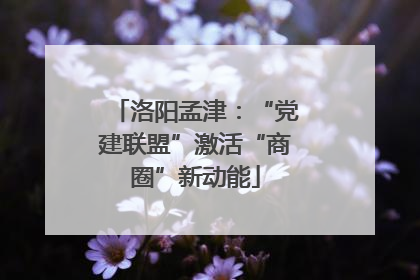 洛阳孟津：“党建联盟”激活“商圈”新动能