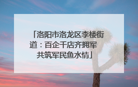 洛阳市洛龙区李楼街道：百企千店齐拥军 共筑军民鱼水情