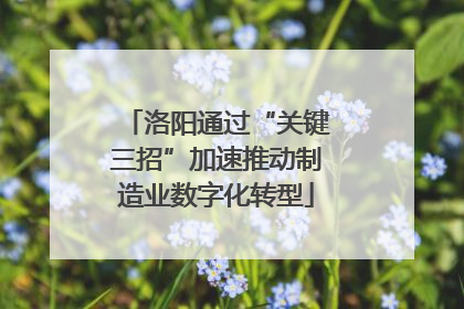 洛阳通过“关键三招”加速推动制造业数字化转型