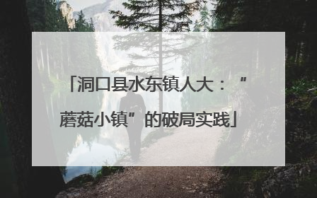 洞口县水东镇人大：“蘑菇小镇”的破局实践