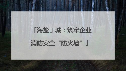 海盐于城：筑牢企业消防安全“防火墙”
