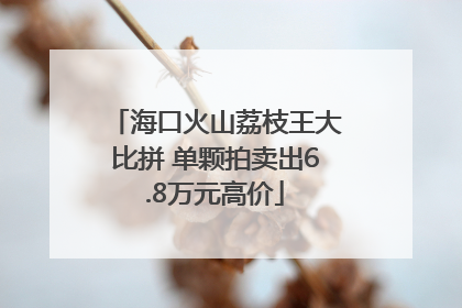 海口火山荔枝王大比拼 单颗拍卖出6.8万元高价
