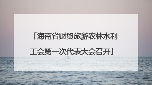 海南省财贸旅游农林水利工会第一次代表大会召开