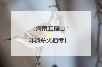 海南五指山：非遗薪火相传